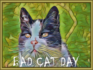Les Bad Cat Day