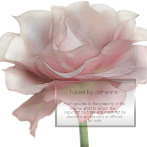Wie heeft haar tubes niet gebruikt? Johanna had jarenlang een eigen Yahoogroep waar ze haar tubes via email deelde. Op dit moment kan ik niet achterhalen of ze nog tubes deelt en zo ja waar