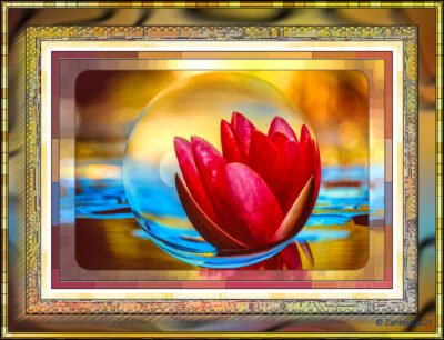 Creatief - Framing the Lotus