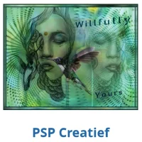 ZV_pspcreatief